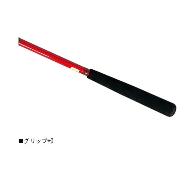 アナリスタータチウオ テンヤ